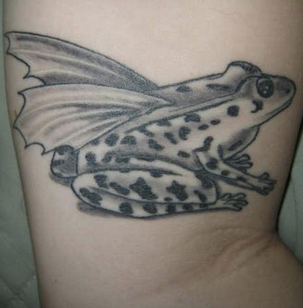 带有翅膀的青蛙黑灰纹身图案