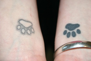 手腕黑色和白色的动物脚印纹身图案