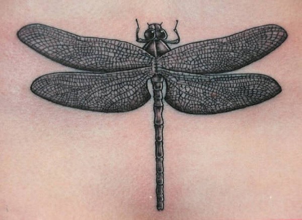 黑灰精致的蜻蜓纹身图案