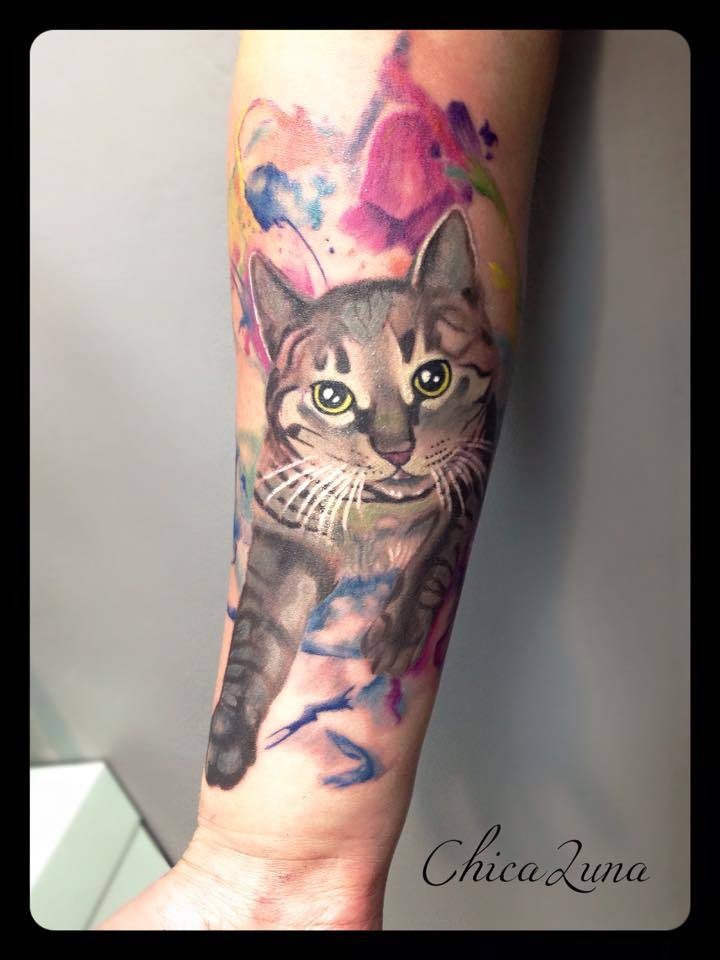 手臂可爱的猫咪彩色纹身图案