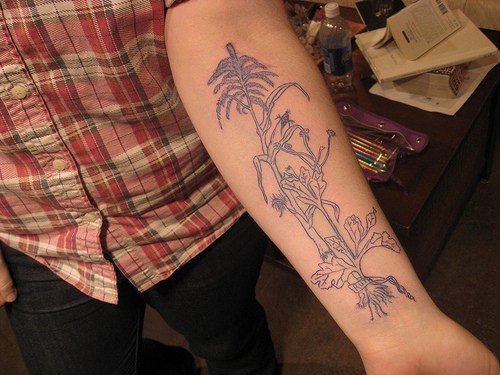 黑色的高大植物树叶小臂纹身图案