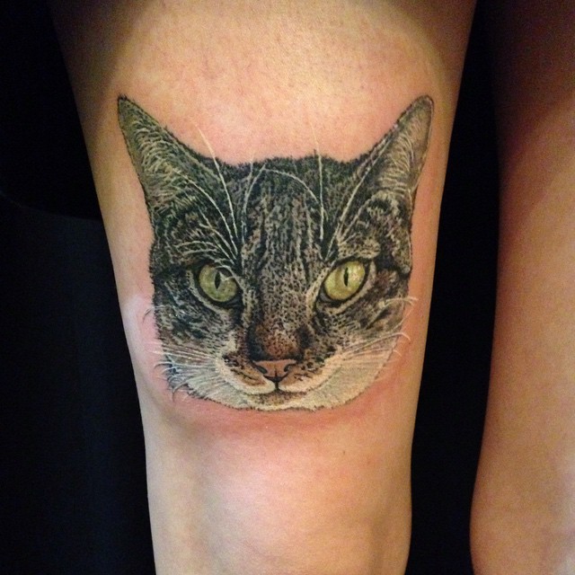 可爱逼真的彩色猫头纹身图案