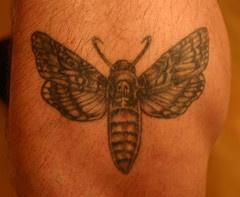 飞蛾骷髅纹身图案