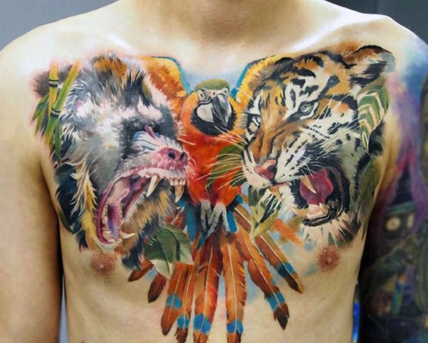 胸部彩色逼真的愤怒老虎猩猩和鹦鹉纹身图案