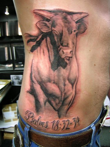侧肋公牛与字母数字纹身图案