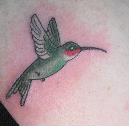 绿色的蜂鸟纹身图案