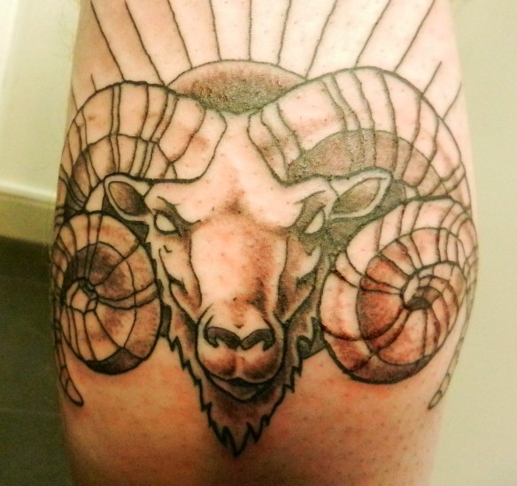 黑灰线条公羊头像纹身图案