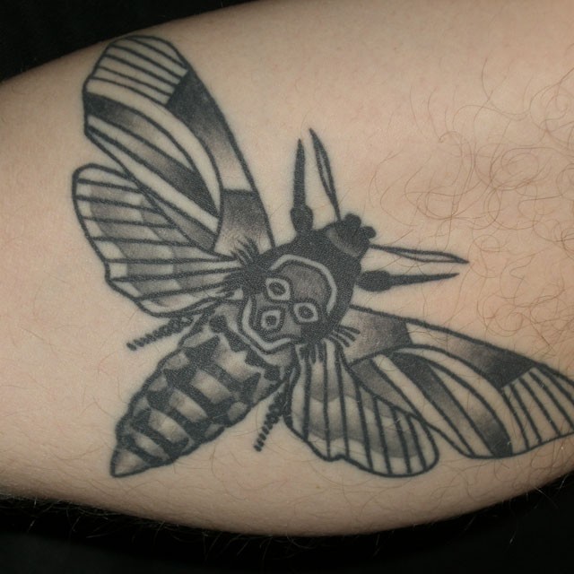 腿部黑色个性的蝴蝶纹身图案