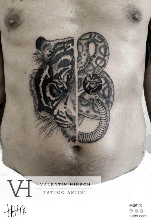 腹部异常组合黑白老虎与蛇纹身图案