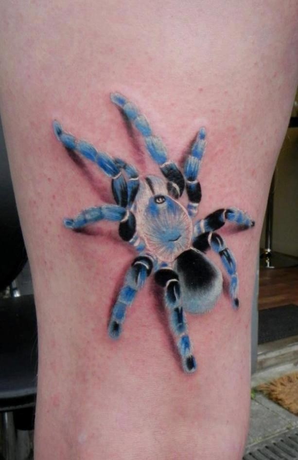 蓝色蜘蛛超逼真纹身图案