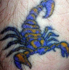蓝色的蝎子纹身图案