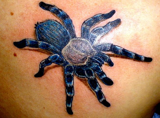 蓝色的逼真大蜘蛛纹身图案