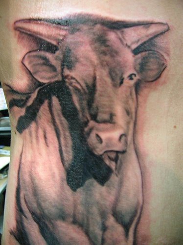 黑灰公牛纹身图案