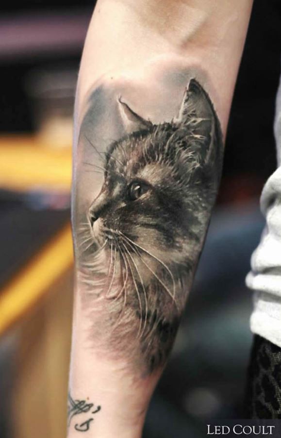 惊人的非常逼真黑灰猫肖像小臂纹身图案