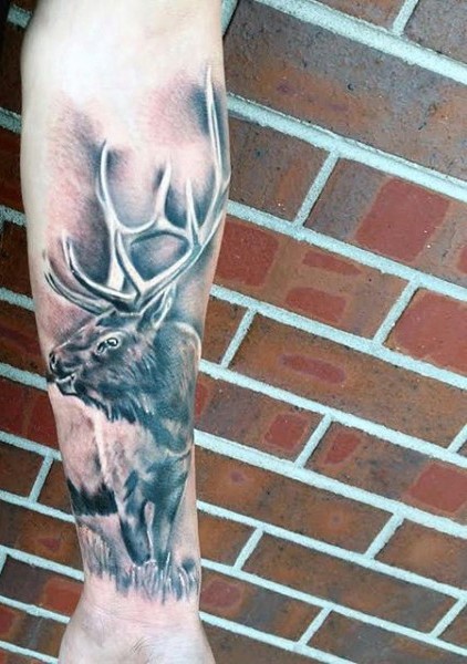 小臂逼真的黑灰风格野生麋鹿纹身图案