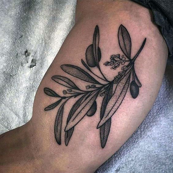 大臂点刺橄榄枝果实和花朵纹身图案