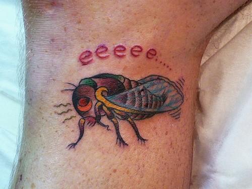 有趣的昆虫和字母纹身图案