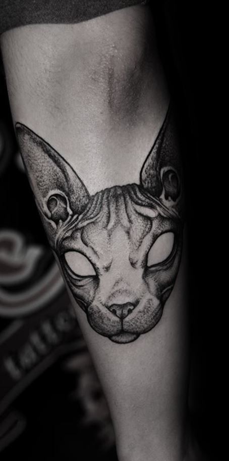 小臂个性的黑色可怕无毛猫头纹身图案