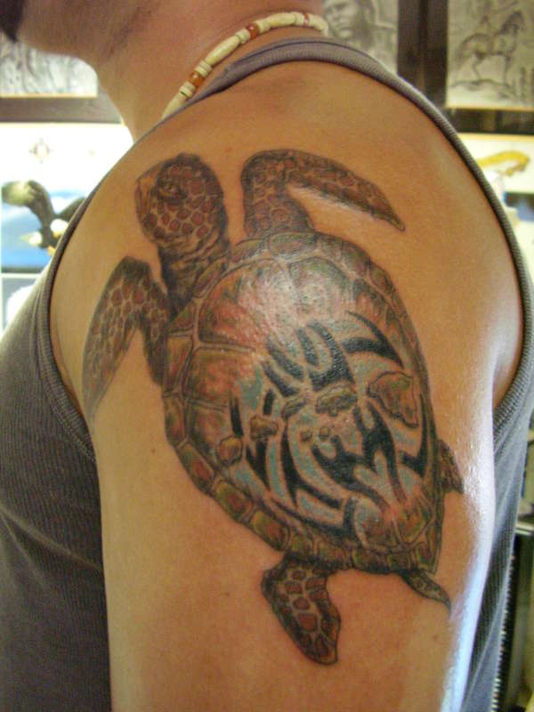 大臂棕色乌龟纹身图案