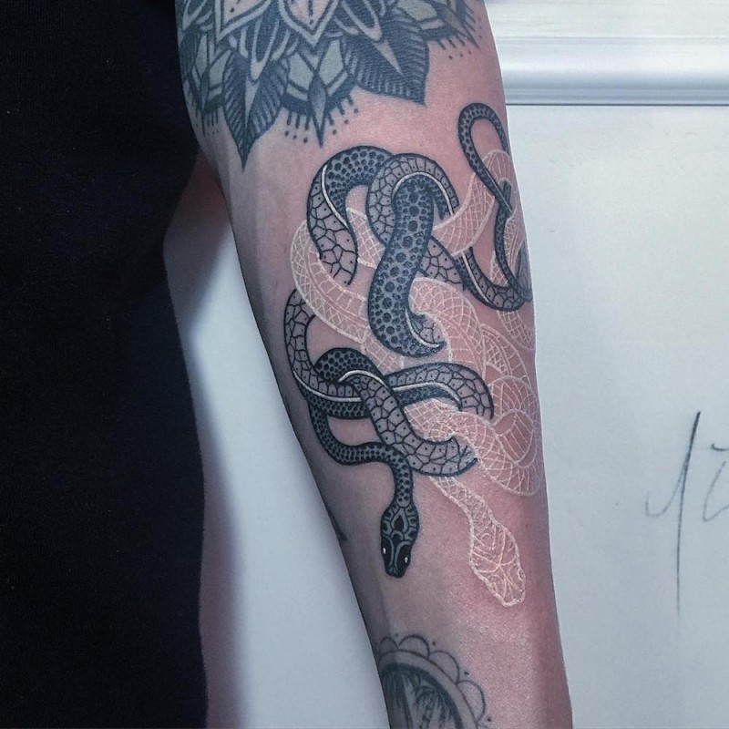 手臂不同的黑色和白色蛇交缠纹身图案