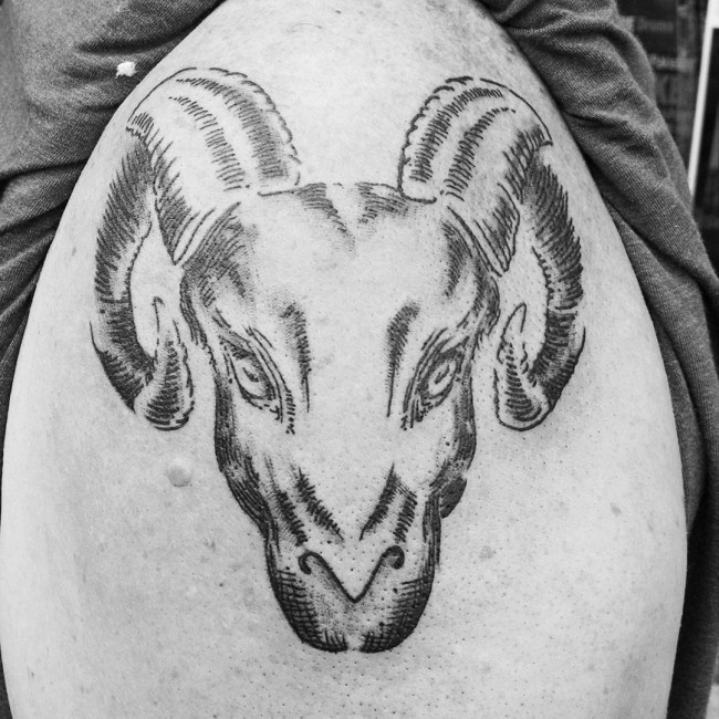 肩部黑色线条雕刻风格手绘山羊头部纹身图案
