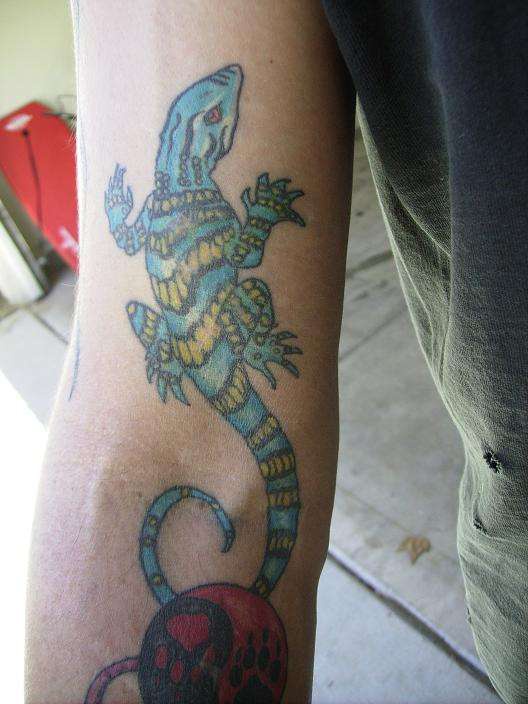 手臂写实黄色和蓝色蜥蜴纹身图案