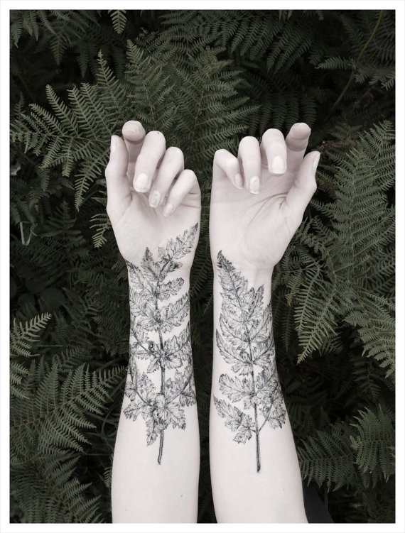黑色蕨树叶植物纹身图案