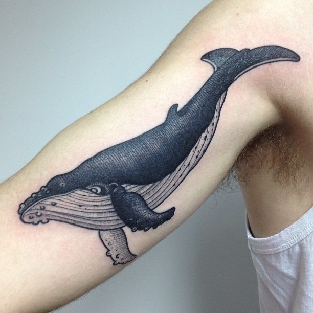 写实蓝色和黑色鲸鱼大臂纹身图案