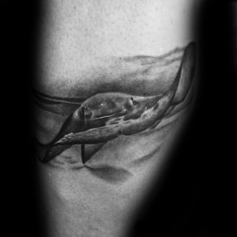 黑白逼真的水下鳐鱼纹身图案