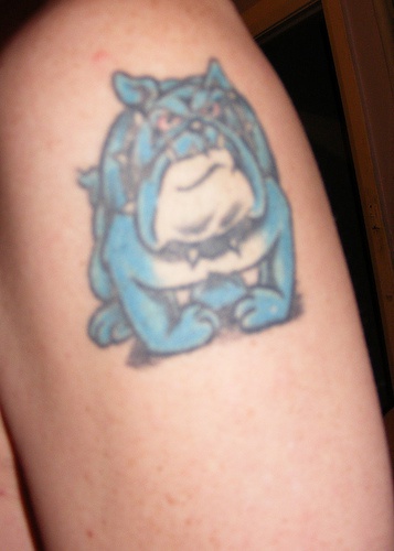 卡通蓝色汤姆狗纹身图案