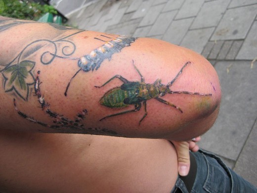 大臂上的绿色昆虫纹身图案