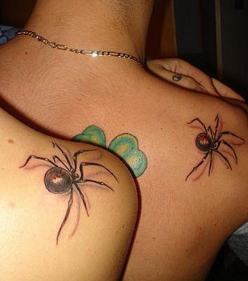 肩部逼真3D蜘蛛和绿色三叶草纹身图案