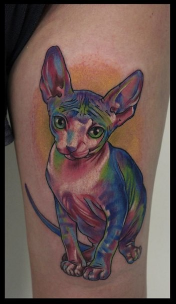 彩虹色的斯芬克斯猫纹身图案