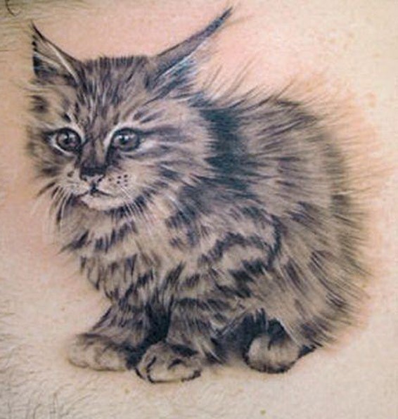 毛茸茸的小猫纹身图案