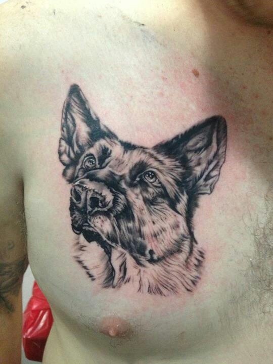 黑色德国牧羊犬胸部纹身图案