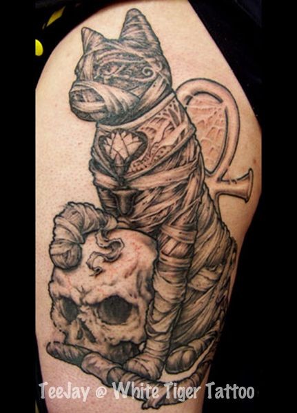 惊人的埃及猫木乃伊与骷髅纹身图案