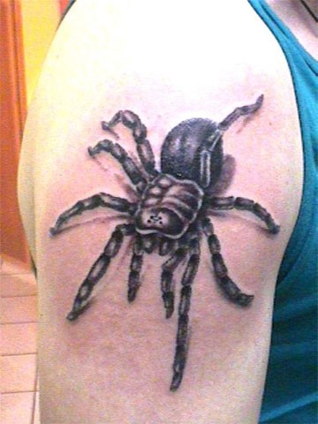 手臂黑色蜘蛛纹身图案
