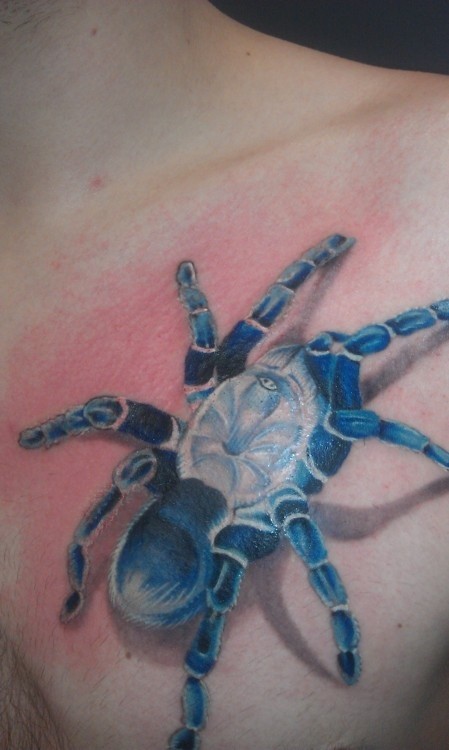 逼真的蓝色蜘蛛肩部纹身图案