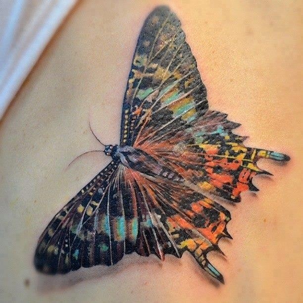 写实逼真的大蝴蝶纹身图案