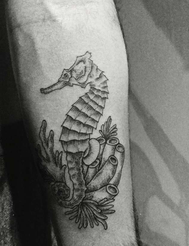 小臂黑色线条海马与珊瑚纹身图案