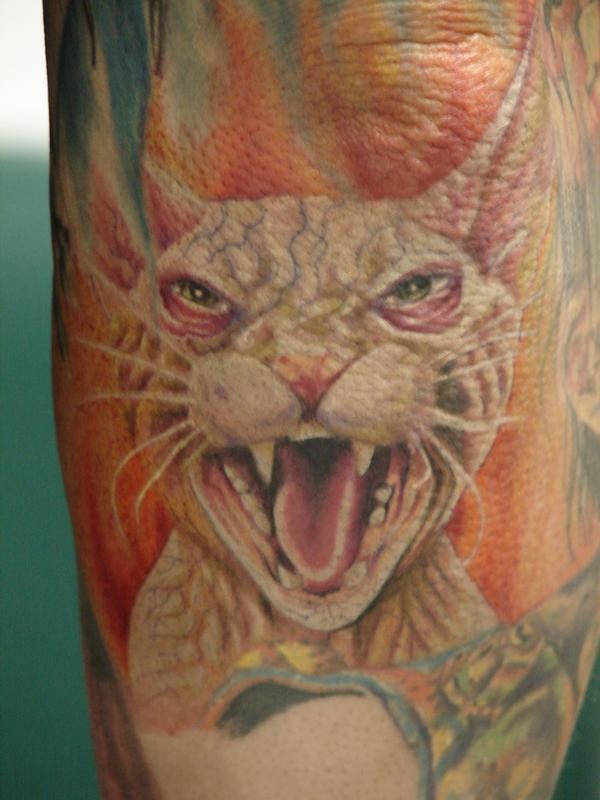 可怕的彩色邪恶猫纹身图案