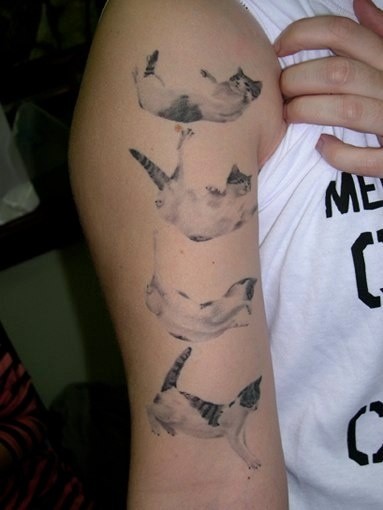 手臂不同造型的猫纹身图案