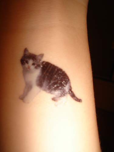 超级逼真的猫彩色纹身图案