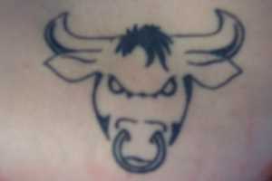黑色线条公牛头纹身图案