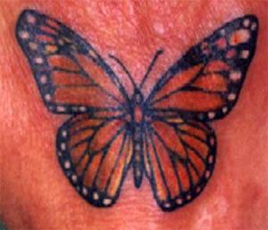 写实的帝王蝴蝶纹身图案