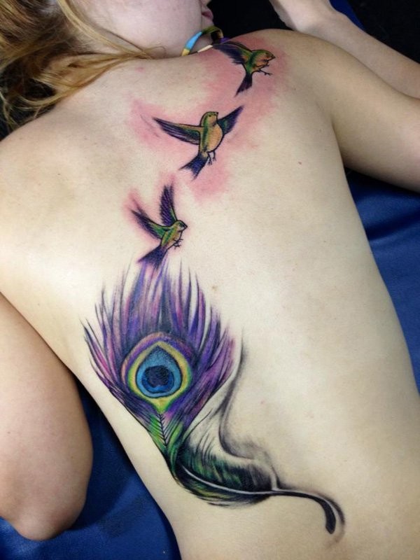 女生背部漂亮的插画风格孔雀羽毛和鸟类纹身图案