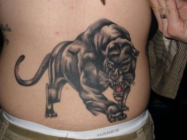 愤怒的黑豹腹部纹身图案