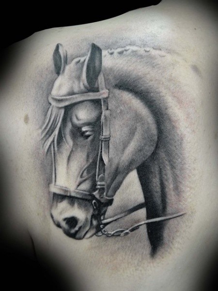 肩部黑色逼真的马纹身图案