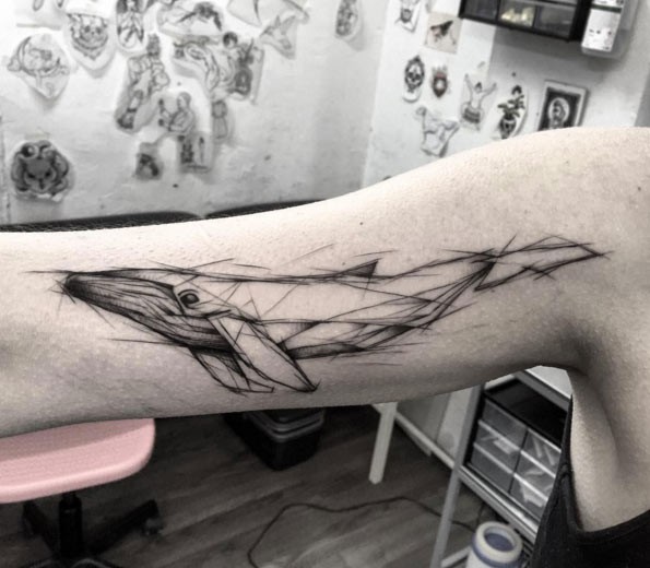 小臂黑色线条素描鲸鱼纹身图案