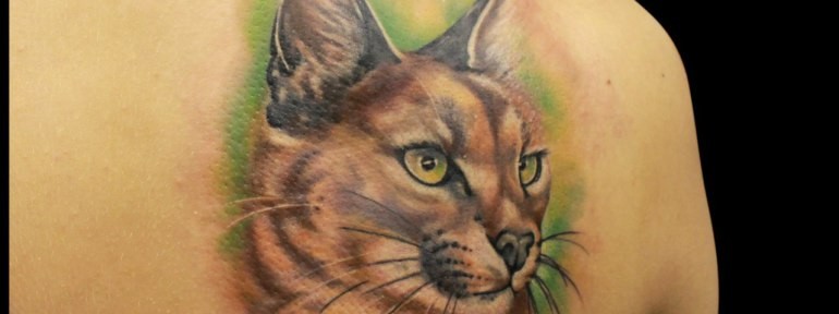 背部简单写实彩色野猫纹身图案